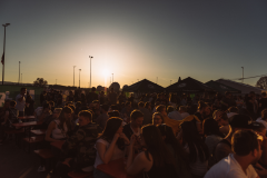 Electrifinity Festival