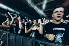 Electrifinity Festival