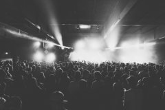 Electrifinity Festival