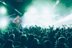 Electrifinity Festival