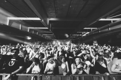 Electrifinity Festival